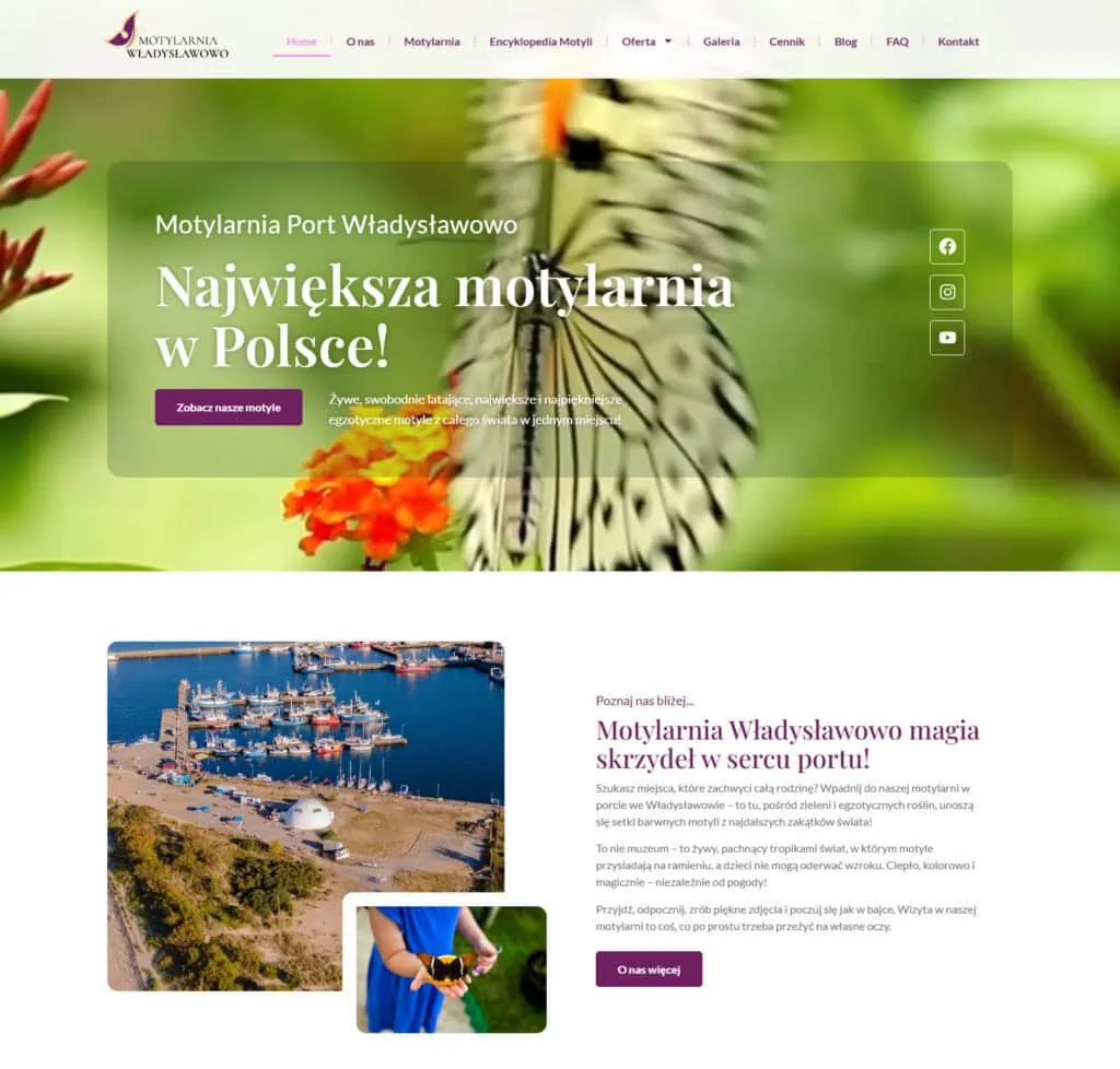 Motylarnia w Władysławowie z pięknymi motylami i egzotyczną florą, zapraszamy na spacer do najpiękniejszej atrakcji nad morzem.