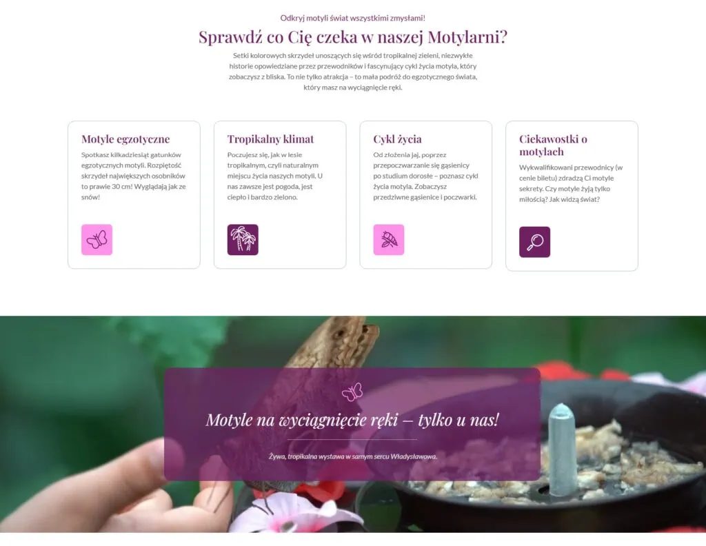 Wyjątkowa wystawa motyli w Warszawie z tropikalnym klimatem i egzotycznym motylem w centrum uwagi. Idealne miejsce na poznanie ich świata i zachwycanie się kolorami natury.